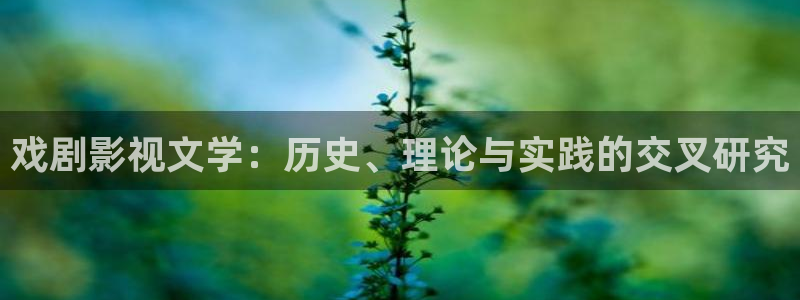 国产视频探花