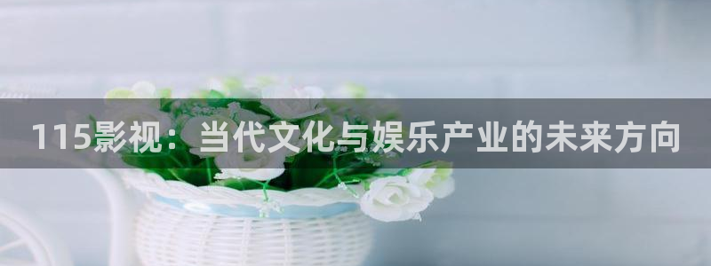 免费看探花视频