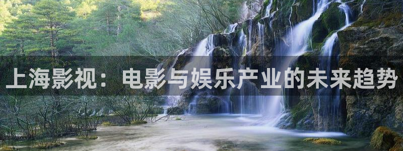 探花视频完整版