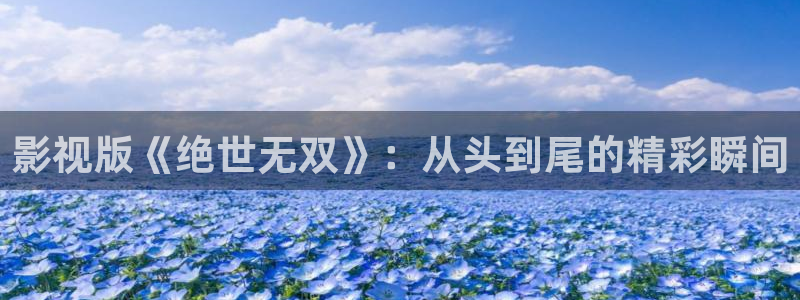 探花视频在线观看 在线播放