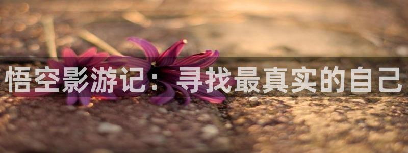探花系列视频在线
