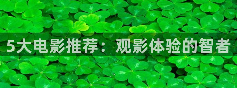 探花系列视频在线观看