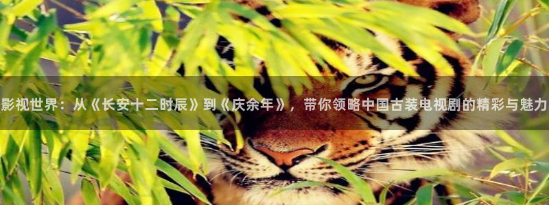探花李寻欢视频在线观看