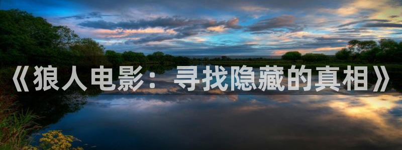 探花免费在线观看
